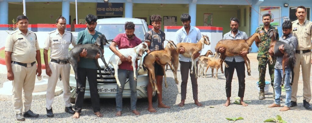 गाड़ी में बकरी, सिर पर चोरी – कबीरधाम की अनोखी कहानी: 80 से ज़्यादा बकरियाँ चुराने वाले बकरी चोर गिरोह का पर्दाफाश, 7 गिरफ्तार