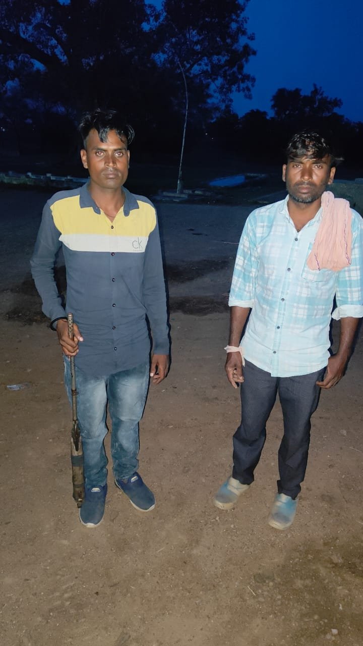 कोसमंदा में बंदरों की हत्या का मामला: आरोपी की पहचान, एयरगन बरामद