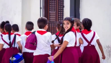 निजी स्कूलों में प्राइवेट पब्लिशर्स की किताबें बैन, सिर्फ NCERT और सरकारी पुस्तकें ही मान्य, सख्त आदेश जारी