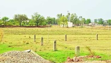 अवैध प्लाटिंग करने वालों की खैर नहीं: जानकारी मिलते ही तुरंत होगी एफआईआर, निर्माण होगा ध्वस्त