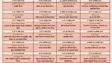 छत्तीसगढ़ रजत जयंती वर्ष: 15 अगस्त से 6 फरवरी तक चलेंगे भव्य आयोजन, हर विभाग को मिलेगा खास सप्ताह