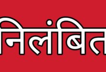 शिक्षा विभाग की बड़ी कार्रवाई: 65 लाख की चोरी छिपाने पर प्राचार्य निलंबित, देखें पूरी लिस्ट
