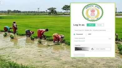 छत्तीसगढ़ सरकार का नया नियम: धान बेचना है समर्थन मूल्य पर? पहले इस पोर्टल पर नाम दर्ज कराएं, वरना बोनस भी जाएगा हाथ से, पढ़ें पूरी खबर